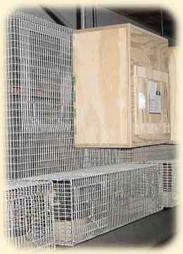Caique breeder cage with Nestbox
